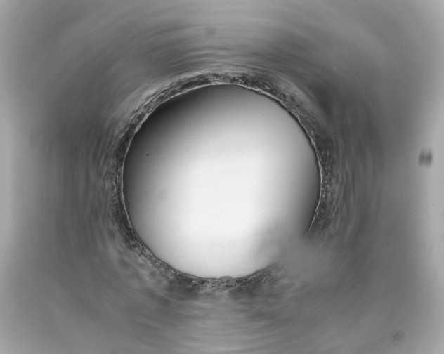 X0000089970773200707202010