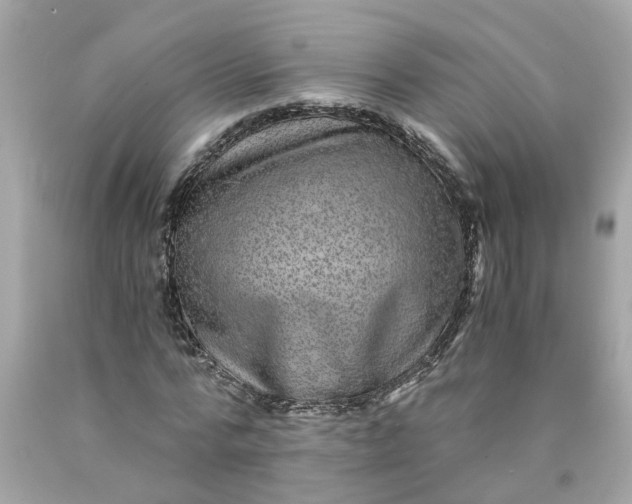 X0000089970776200707202010