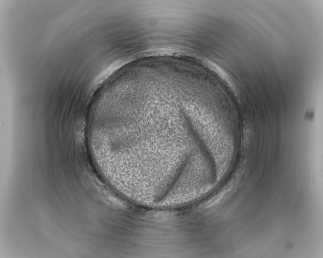 X0000089970778200707202010