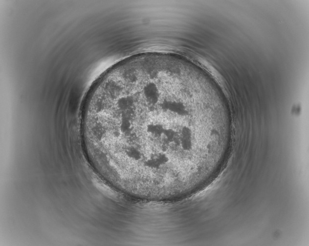 X0000089970779200707202010