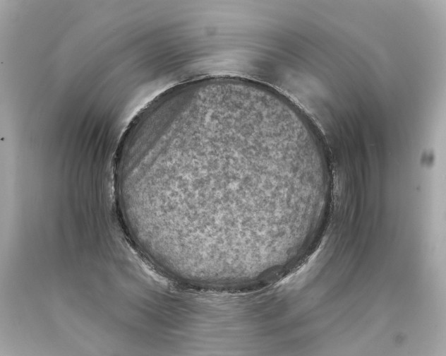 X0000089970782200707202010