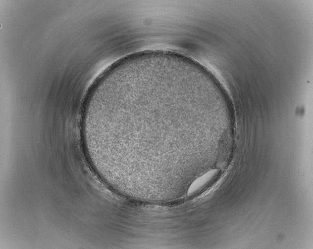 X0000089970783200707202010