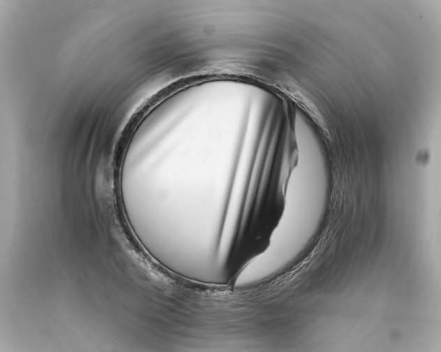 X0000089970784200707202010