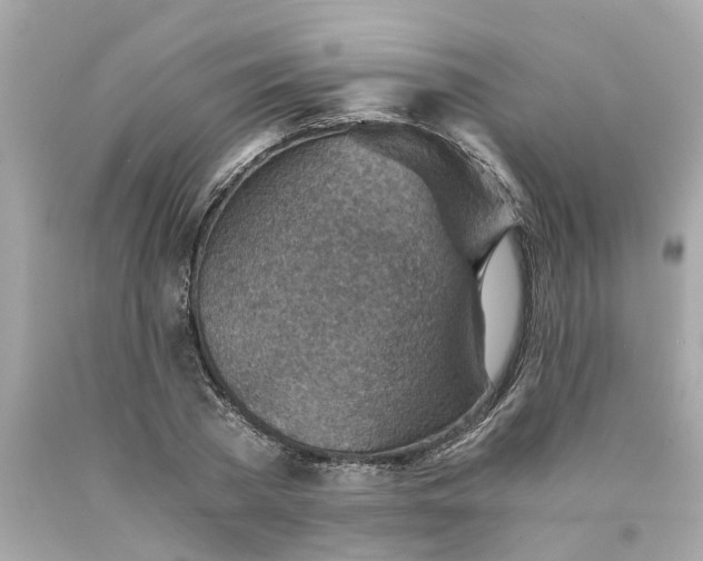 X0000089970785200707202010