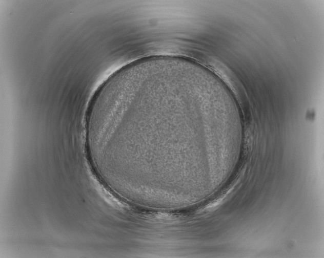 X0000089970787200707202010