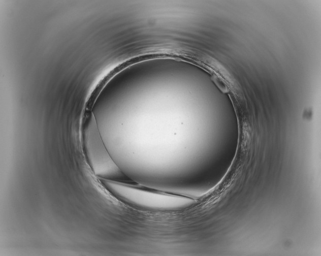 X0000089970788200707202010