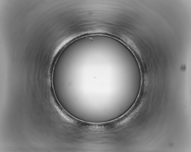 X0000089970789200707202010