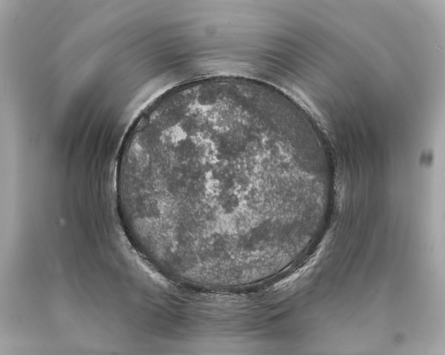 X0000089970790200707202009