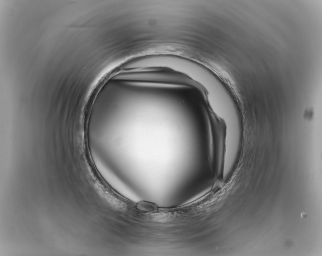 X0000089970792200707202009