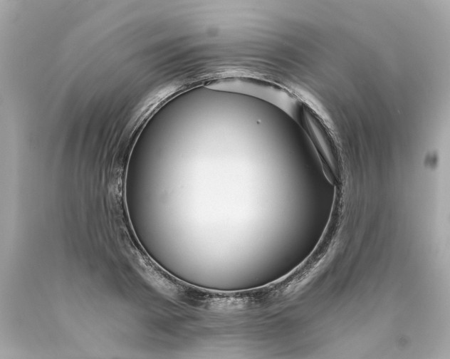 X0000089970793200707202009