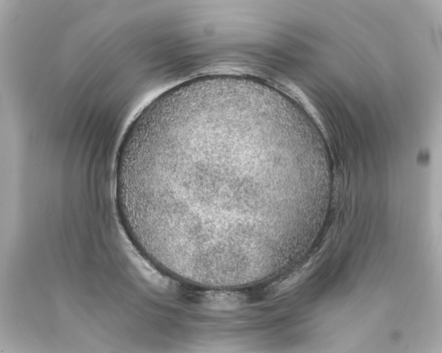 X0000089970795200707202009