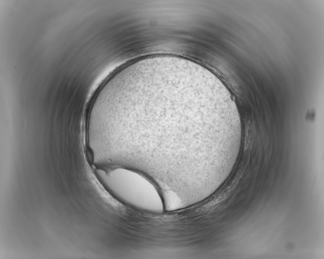 X0000089970796200707202009