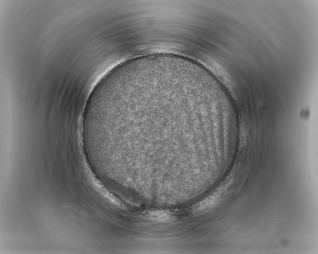 X0000089970798200707202009