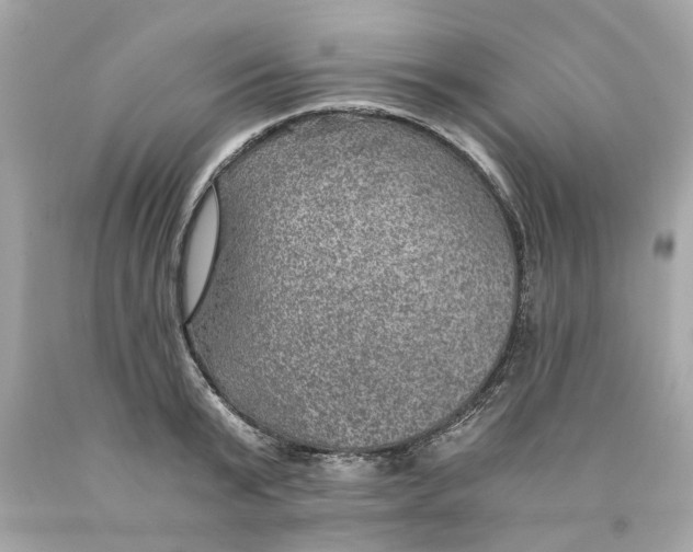 X0000089970799200707202009