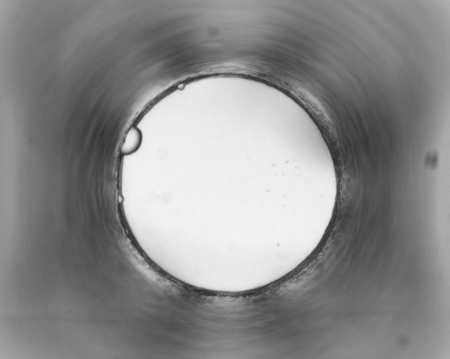 X0000089970800200707202009