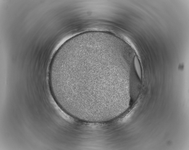 X0000089970803200707202009