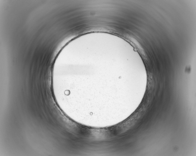 X0000089970804200707202009