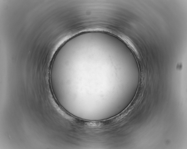 X0000089970805200707202009