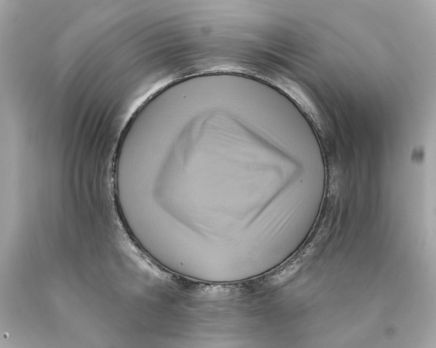 X0000089970806200707202009