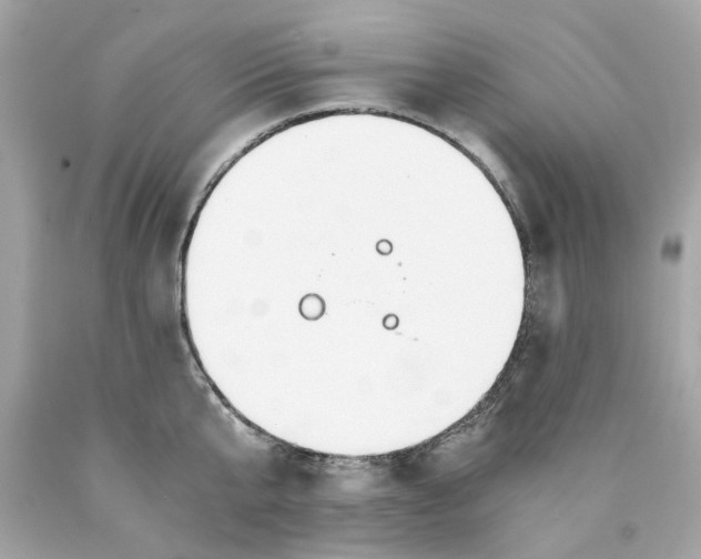 X0000089970807200707202009