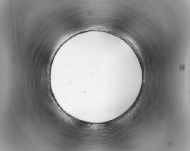 X0000089970808200707202009