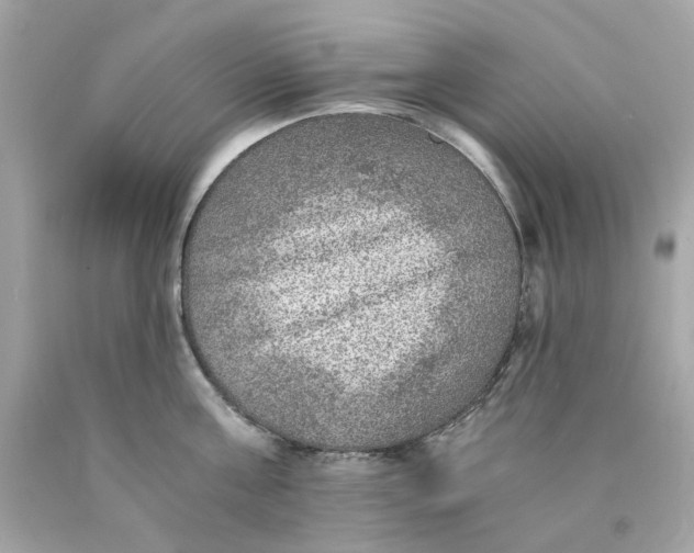 X0000089970811200707202009