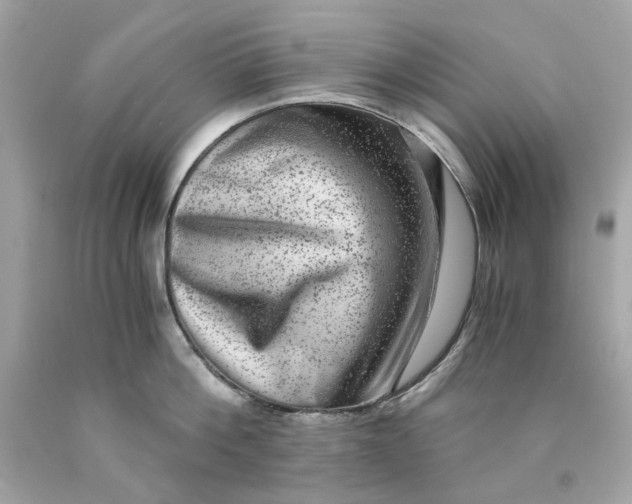 X0000089970812200707202009