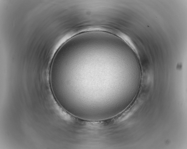 X0000089970813200707202009