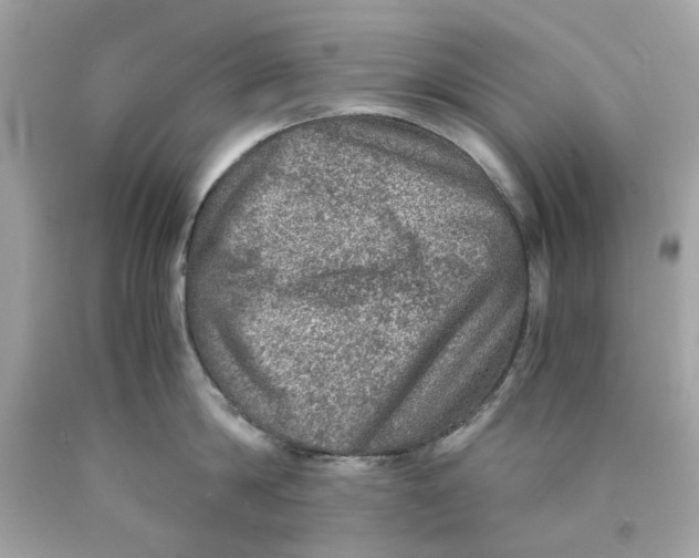 X0000089970814200707202009