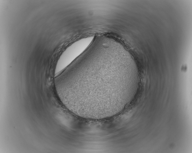 X0000089970818200707202008