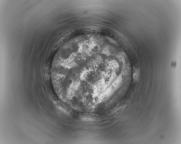 X0000089970819200707202008