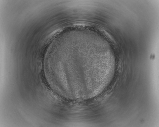 X0000089970821200707202009