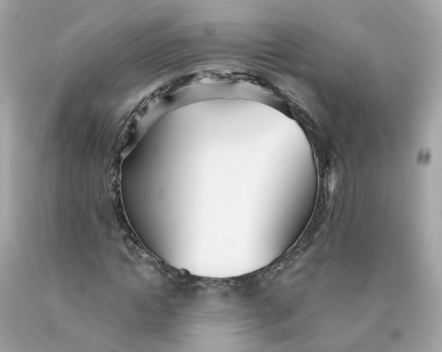 X0000089970822200707202009