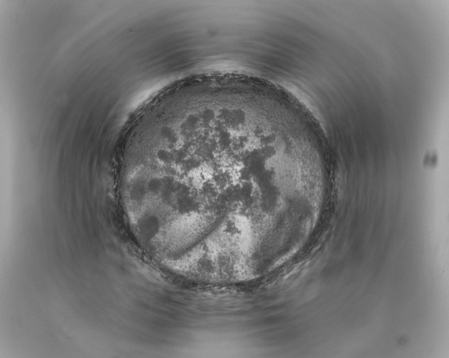 X0000089970823200707202009