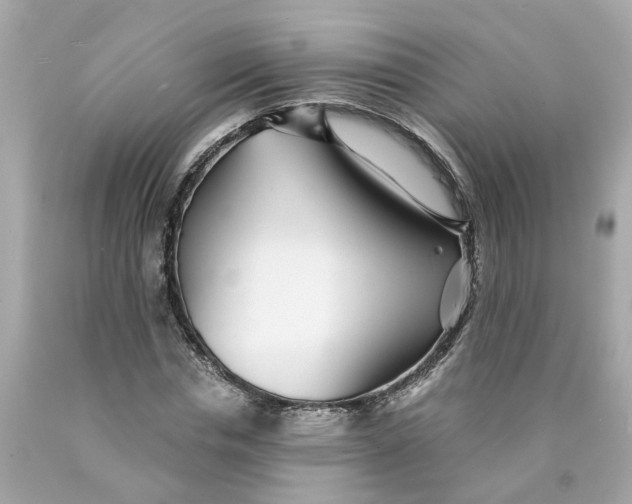 X0000089970826200707202009