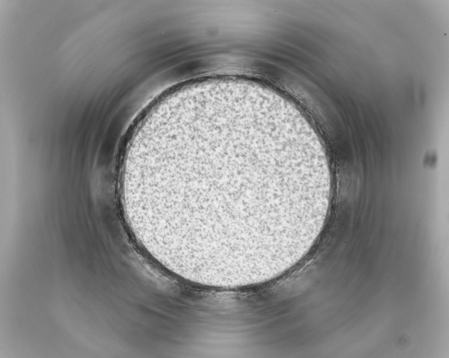 X0000089970828200707202009