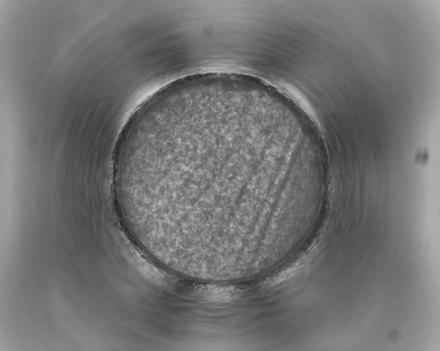 X0000089970831200707202009