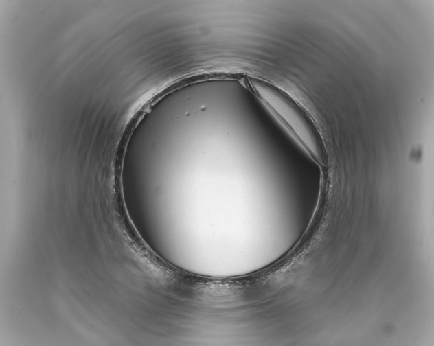 X0000089970834200707202009