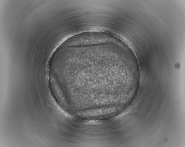 X0000089970835200707202009