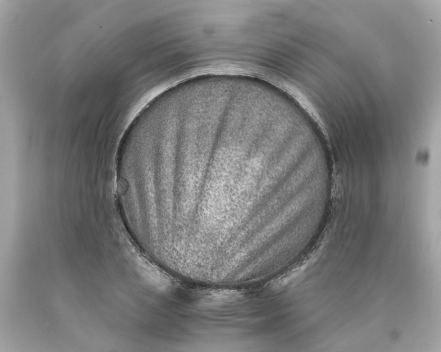 X0000089970837200707202009