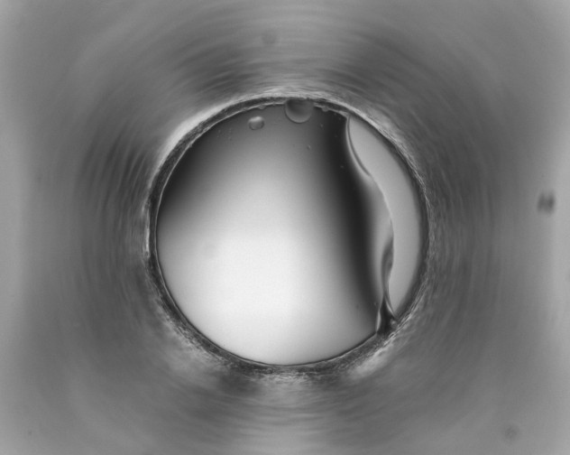 X0000089970838200707202009