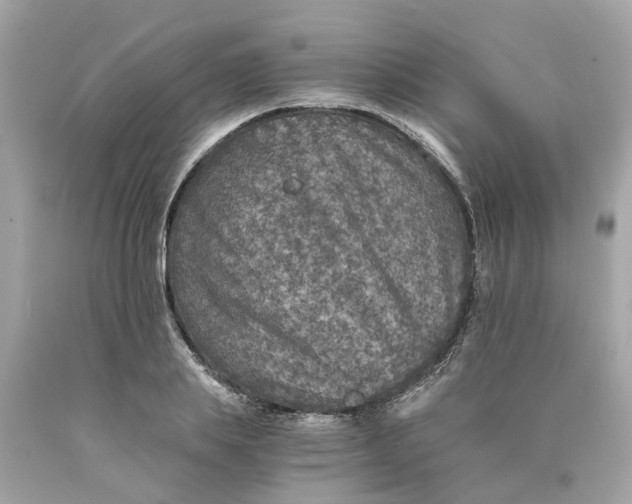 X0000089970839200707202009