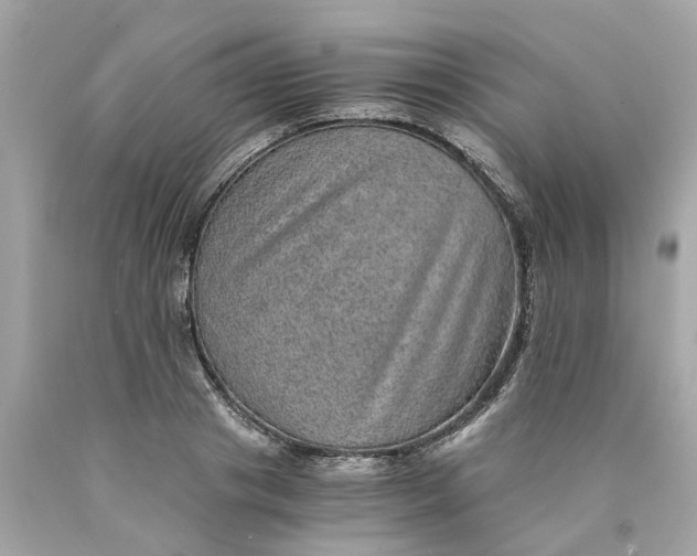 X0000089970841200707202009