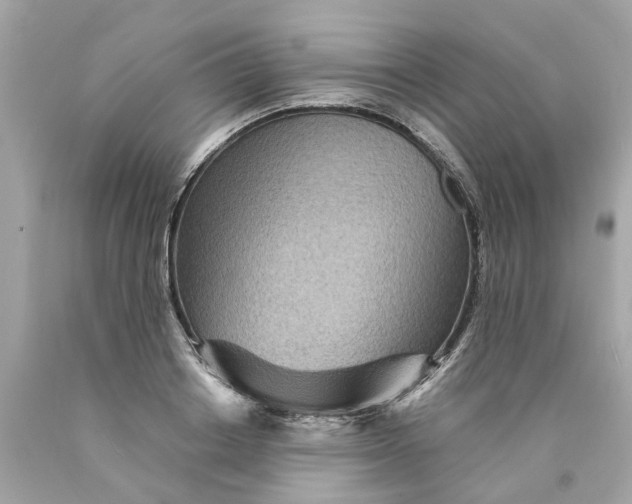 X0000089970842200707202009