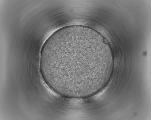 X0000089970844200707202009