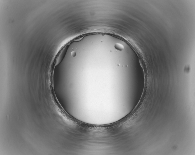 X0000089970846200707202009