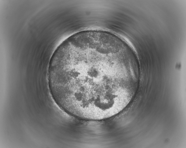 X0000089970847200707202009