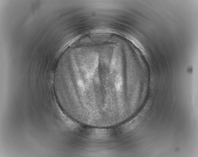 X0000089970849200707202009