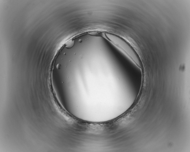 X0000089970850200707202009