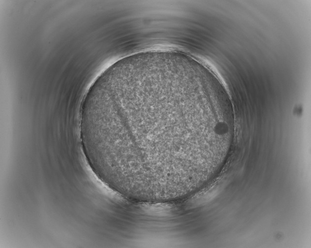 X0000089970851200707202009